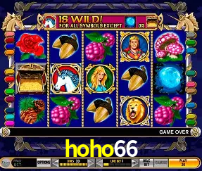 VIP Casino hoho66