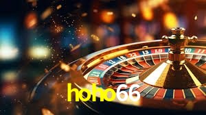 API Integration hoho66
