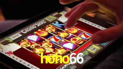 Roulette Table hoho66